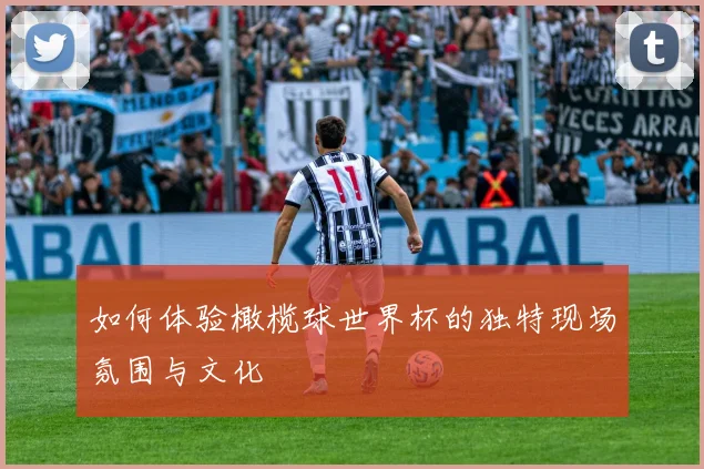 如何体验橄榄球世界杯的独特现场氛围与文化