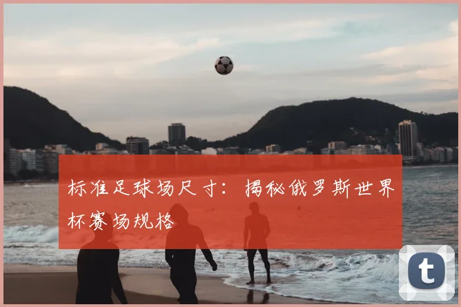 标准足球场尺寸：揭秘俄罗斯世界杯赛场规格