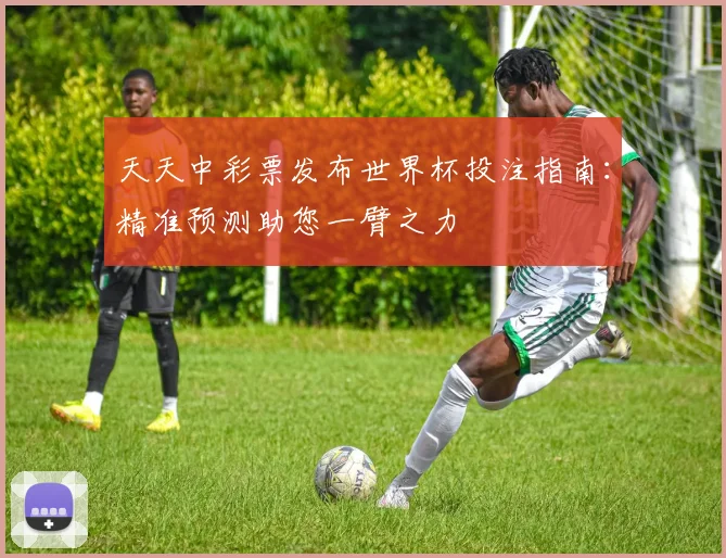 天天中彩票发布世界杯投注指南：精准预测助您一臂之力