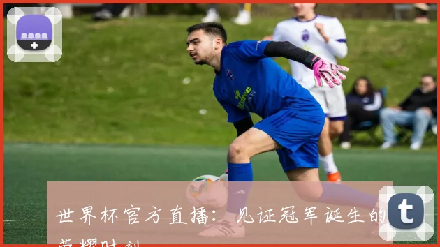 世界杯官方直播:见证冠军诞生的荣耀时刻