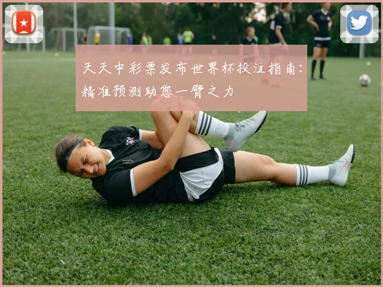 天天中彩票发布世界杯投注指南：精准预测助您一臂之力
