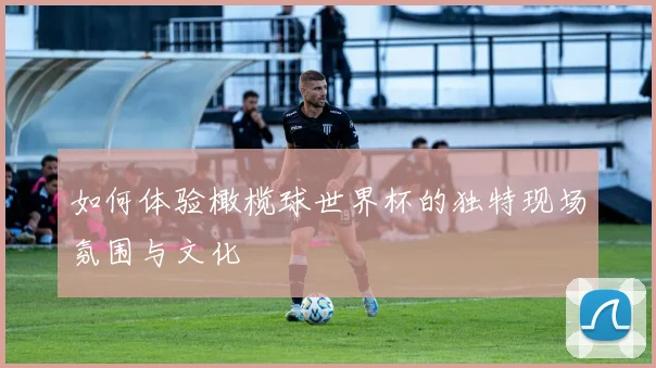 如何体验橄榄球世界杯的独特现场氛围与文化