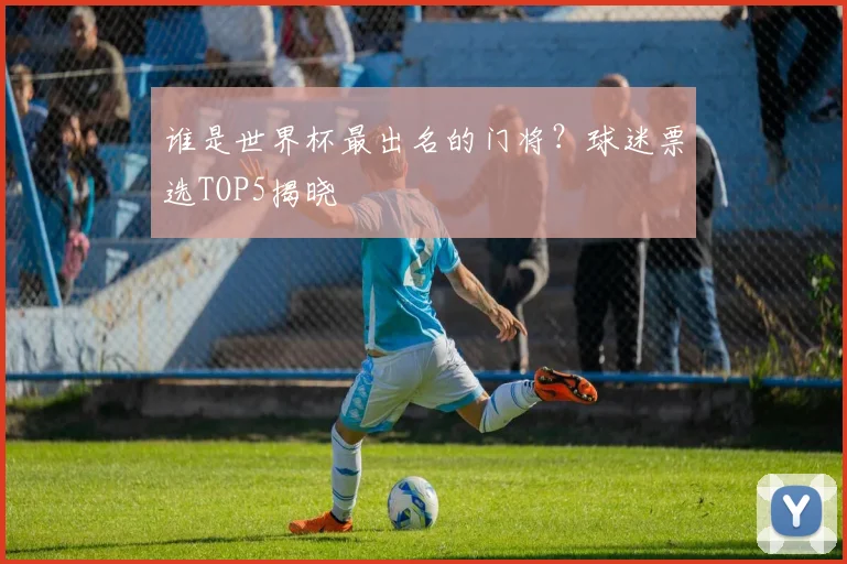 谁是世界杯最出名的门将？球迷票选TOP5揭晓