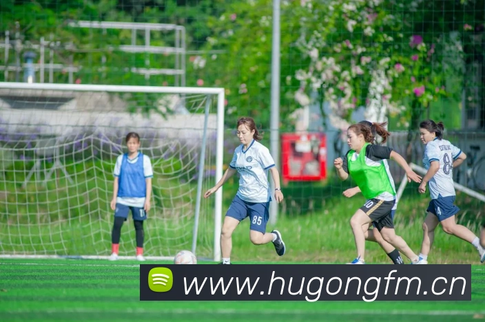 爱游戏在线登录入口品牌故事